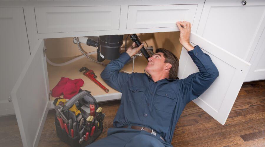 Professional Leak Detection Services in Davis Junction, IL